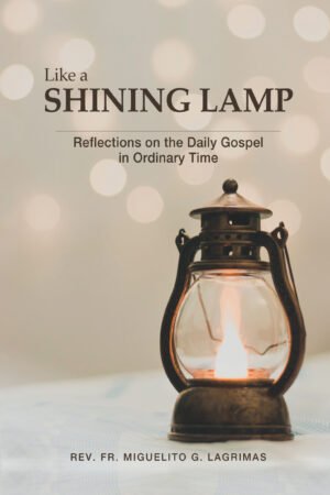 Like a Shining Lamp: Reflections on the Daily Gospel in Ordinary Time