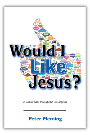 Would I Like Jesus?: A Casual Walk through the Life of Jesus